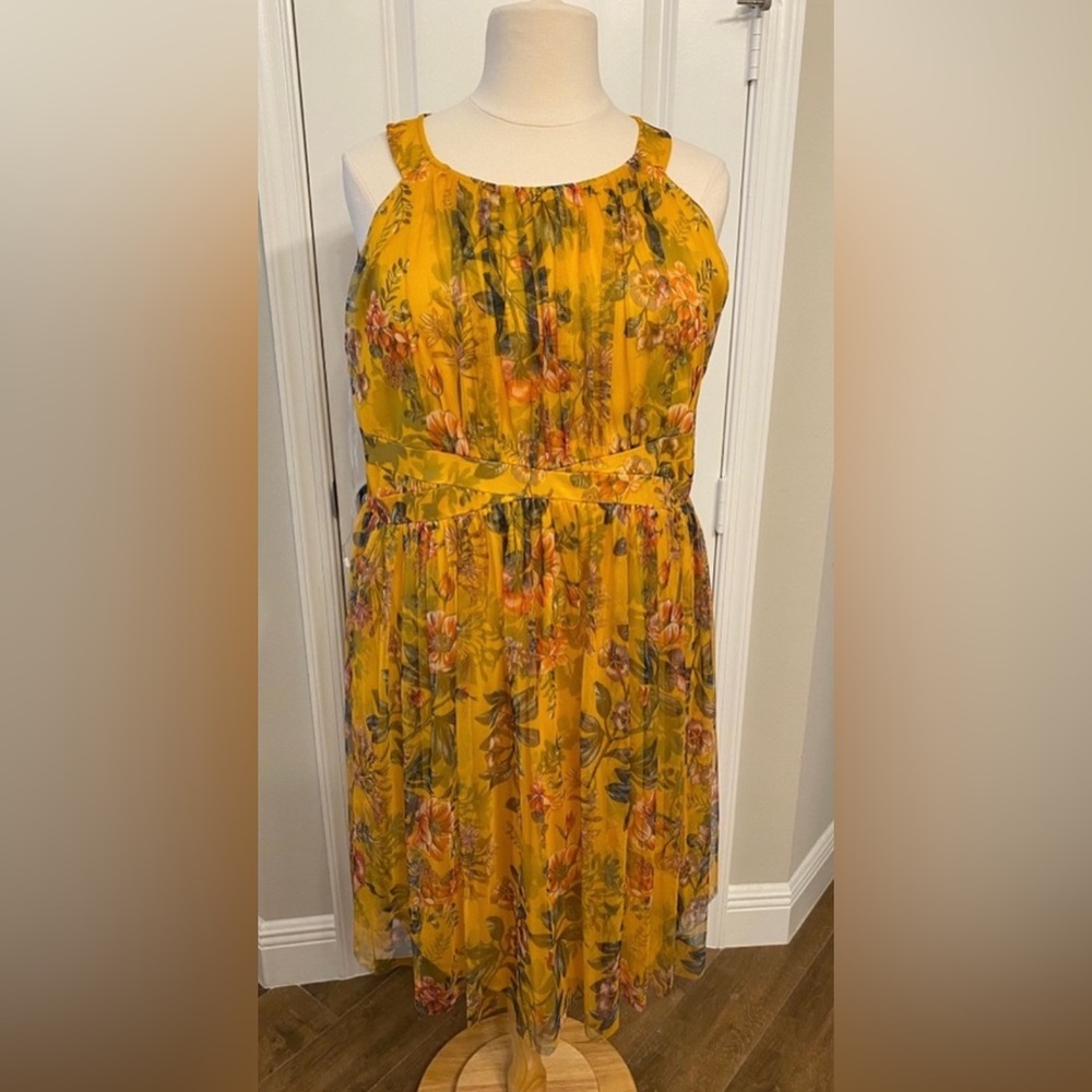Plus Dress